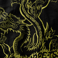 Dragon Embroidered Denim Jacket